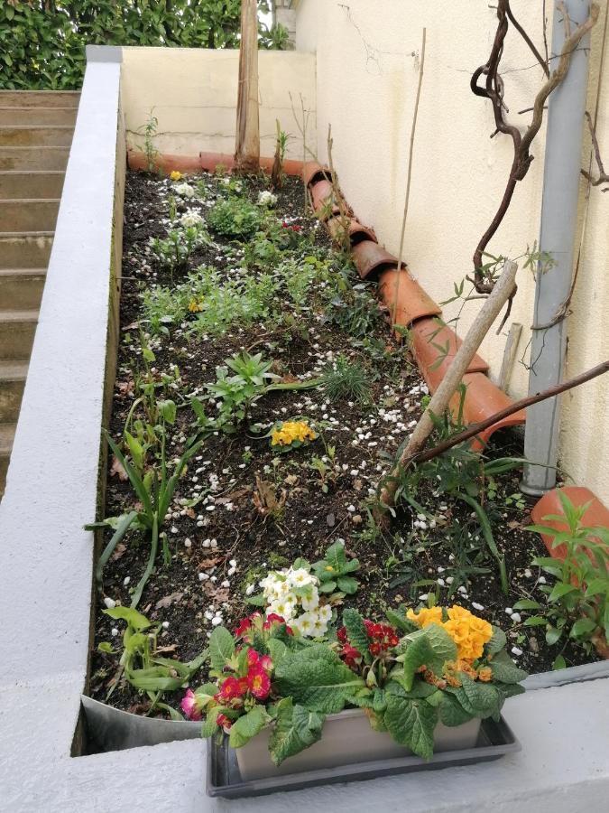 Valence-sur-Baise Gite Chez Pierrette מראה חיצוני תמונה